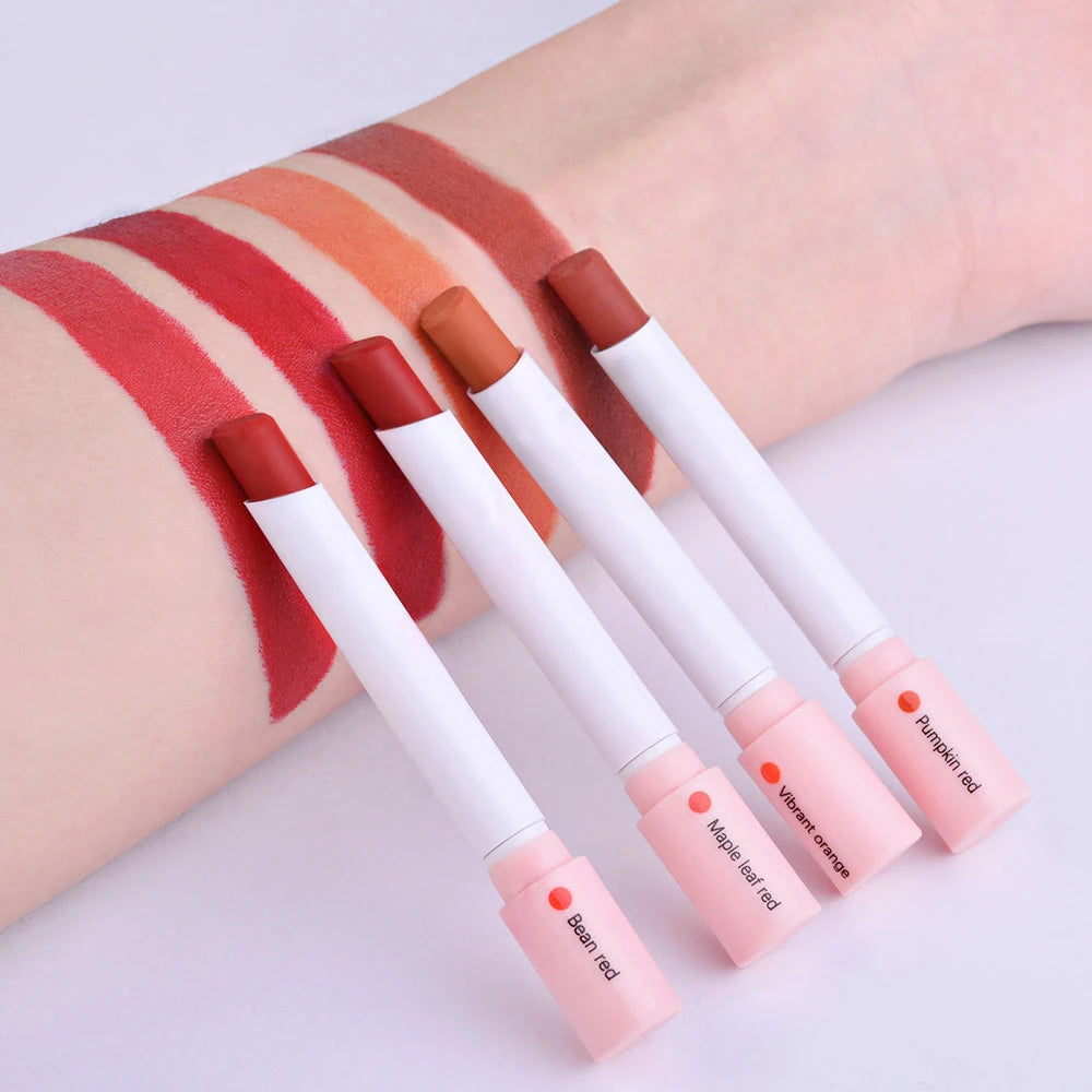 4 Colors Makeup Lipstick Cosmetics Lipstick Set Lip Tint Lip Gloss Waterproof - ChoppedShop